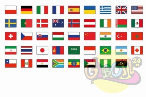 MATA EDUKACYJNA MAPA ŚWIATA + 45 RZEP FLAG / ZESTAW MATA EDUKACYJNA MAPA ŚWIATA + 45 RZEP FLAG / ZESTAW