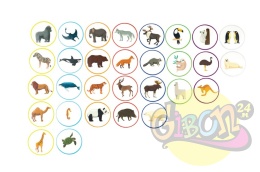 MATA EDUKACYJNA MAPA ŚWIATA + 30 RZEP ZWIERZĄT / ZESTAW