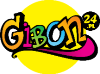 Import Gibon24.pl